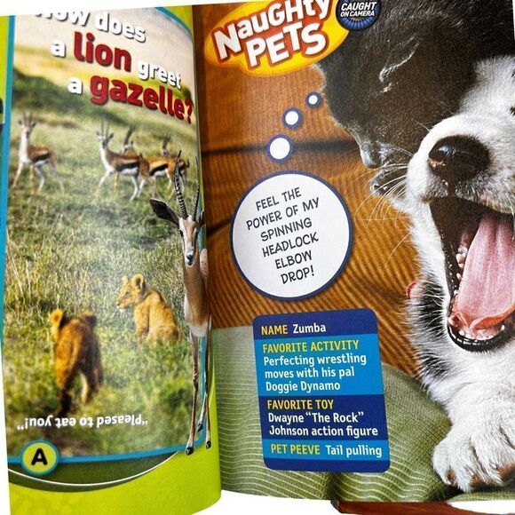 Exley, Scholastic, Chronicle Books Bundle of 3-Piece Set of Cat Lover Books - Picture 9 of 10